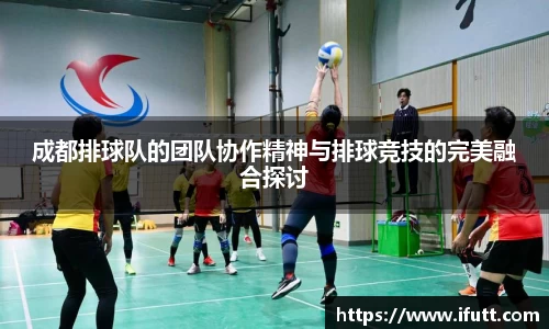 成都排球队的团队协作精神与排球竞技的完美融合探讨